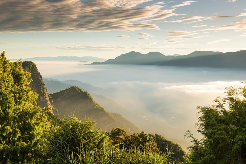 Alishan Forest, Taiwan